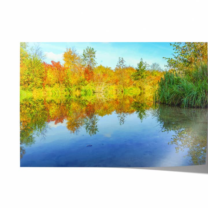 Couleurs d'automne | Tirage photographique d'art pour la vente par Natasha Riha Photography