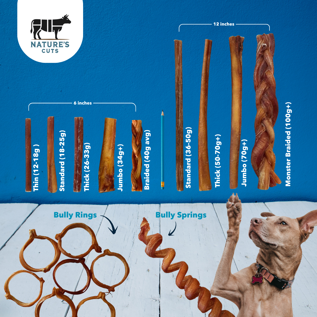 Mighty Chewz - Wholesale Pet Treats - Dog - 6" Standard Braided Bully Sticks ($1.84/ stick)5
