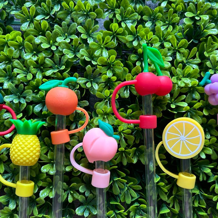 JILLIAN INK LLC - Wholesale Drinking Straw - Fruit Straw Toppers Set of 7