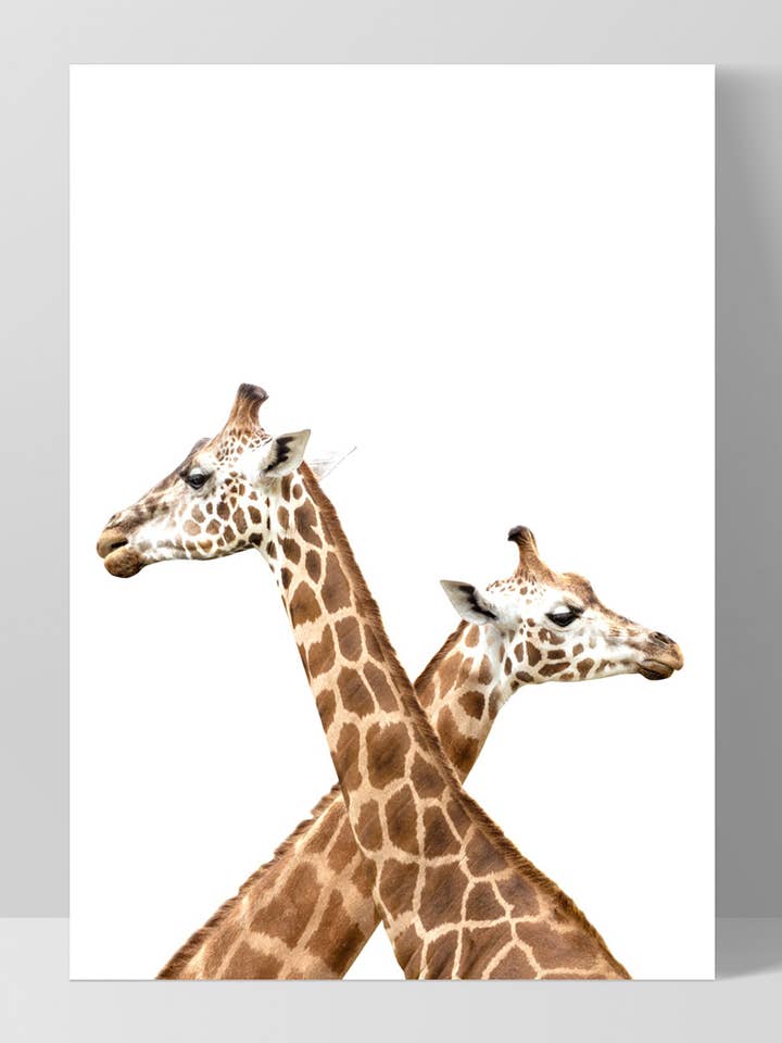 Grazing Giraffe Duo Art Print. Kids Wall Art. Safari Animal for wholesale by PRINT AND PROPER