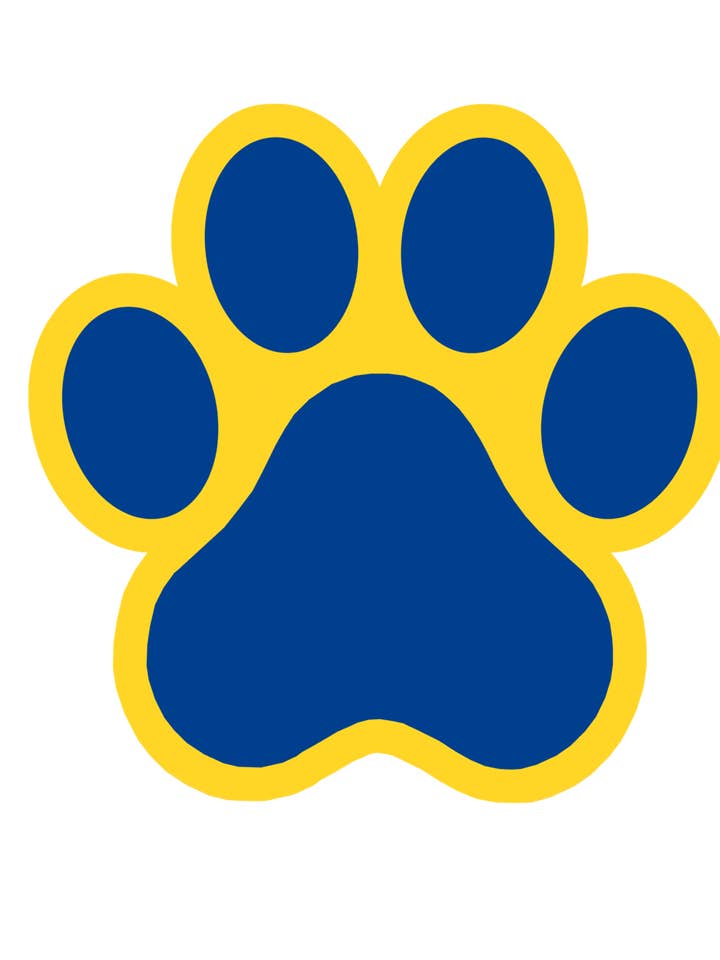 PAW Azul/Amarelo por atacado de Lovely Reese