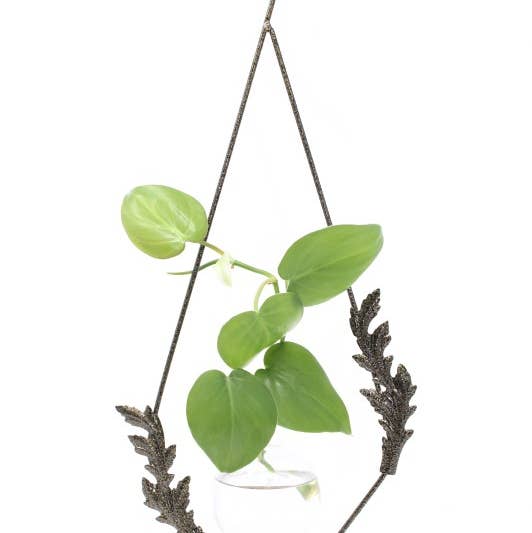 Diamond Leaf Plant Propagation Rooter Vase for wholesale by The Brass Butterfly