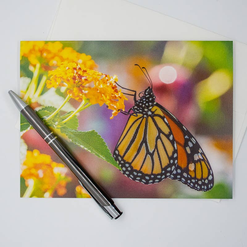 Wren - Wholesale Everyday Greeting Card - Monarch on Lantana (Blank inside) Greeting Card3