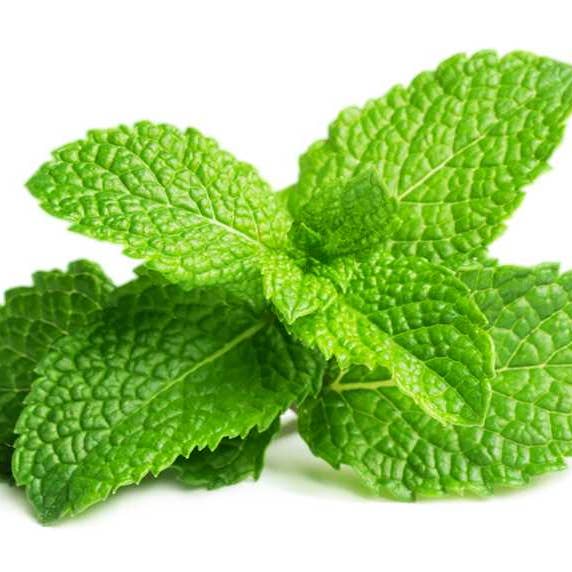 Arômes & Évasions – wholesale Flavoured syrup – Flavor Oil -Peppermint