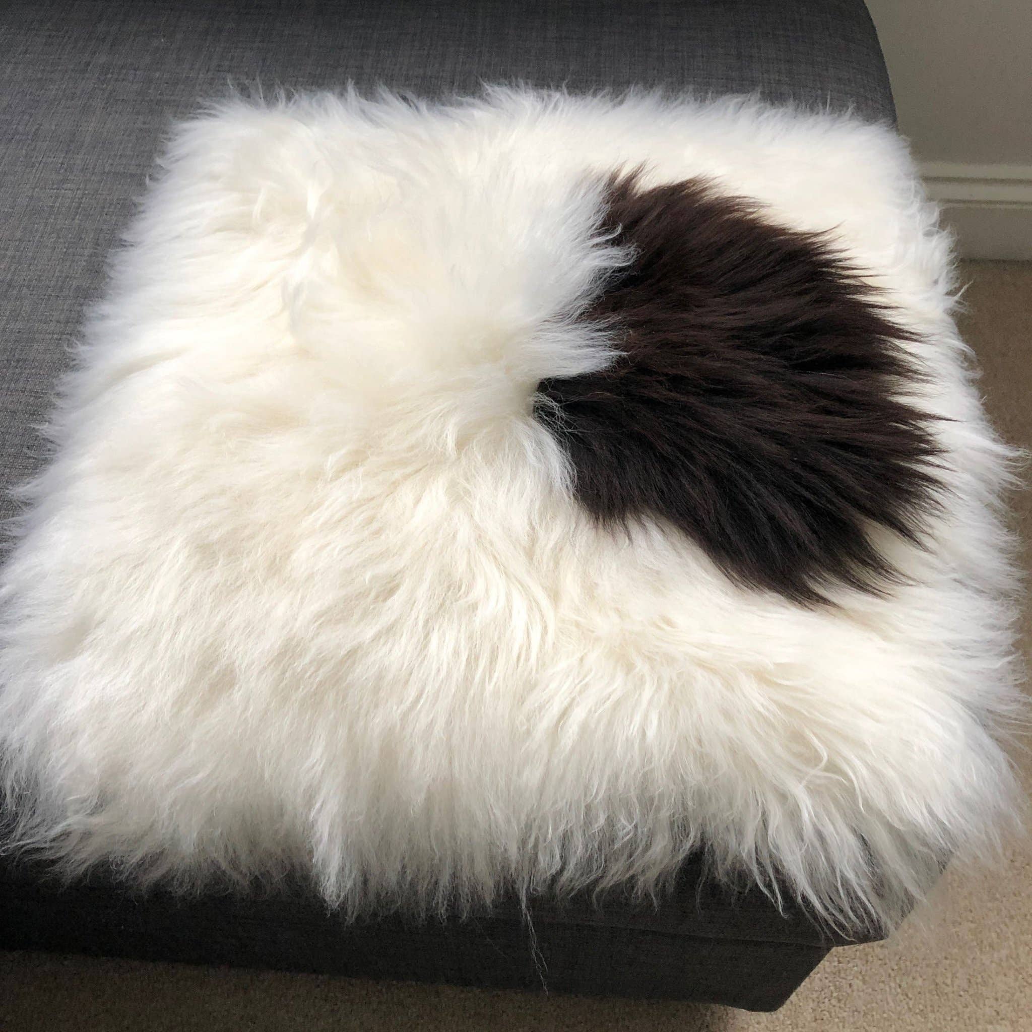 Wildash London – Großhandel Stuhlkissen – 100 % echtes Schaffell Sitzkissen, cremefarben mit dunkelbraunem Akzent9