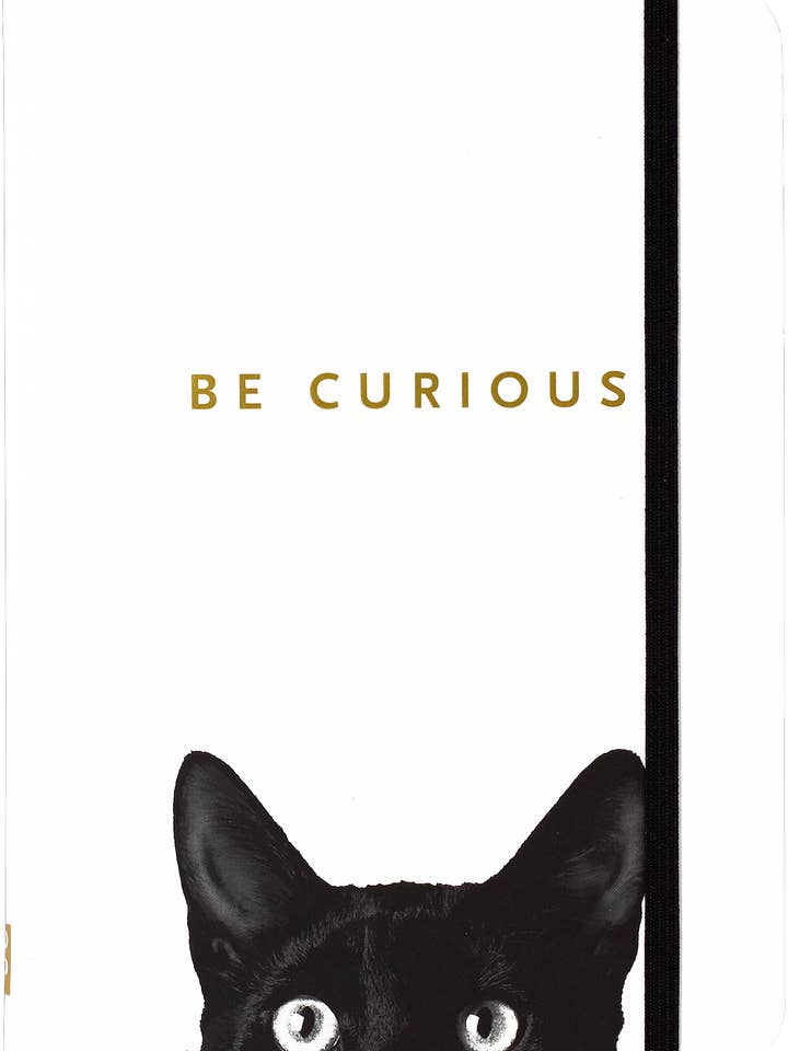 Curious Cat Journal for wholesale by Peter Pauper Press