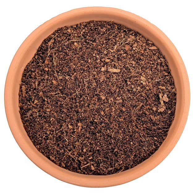 Best Plant Friend - Wholesale Planting/Potting Soil - Nursery Soil - Garden & Potting Soil for Succulents0