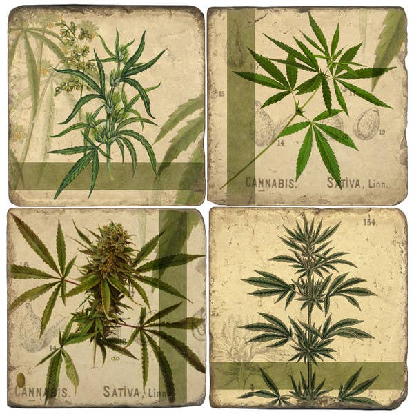 Cannabis Sativa - Tumbled Marble Coasters Set/4 for wholesale by Studio Vertu