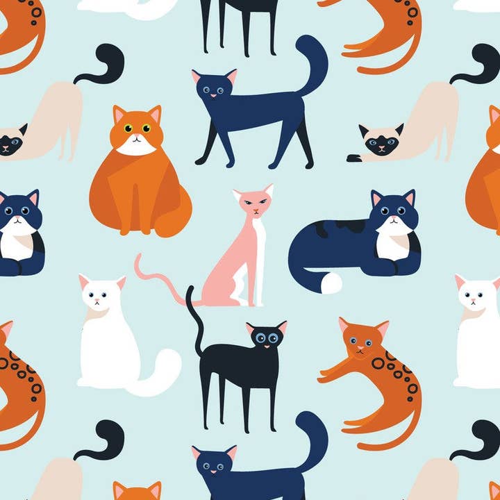 Allgifts Australia - Wholesale Tea Towel - Tea Towel - Colourful Cats