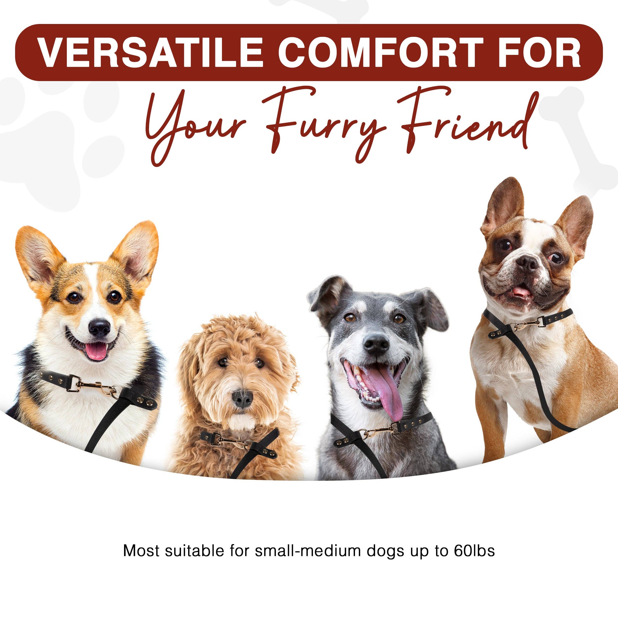 Rusty Roo's – trela - Cão por atacado – Trela para cães sem uso das mãos6