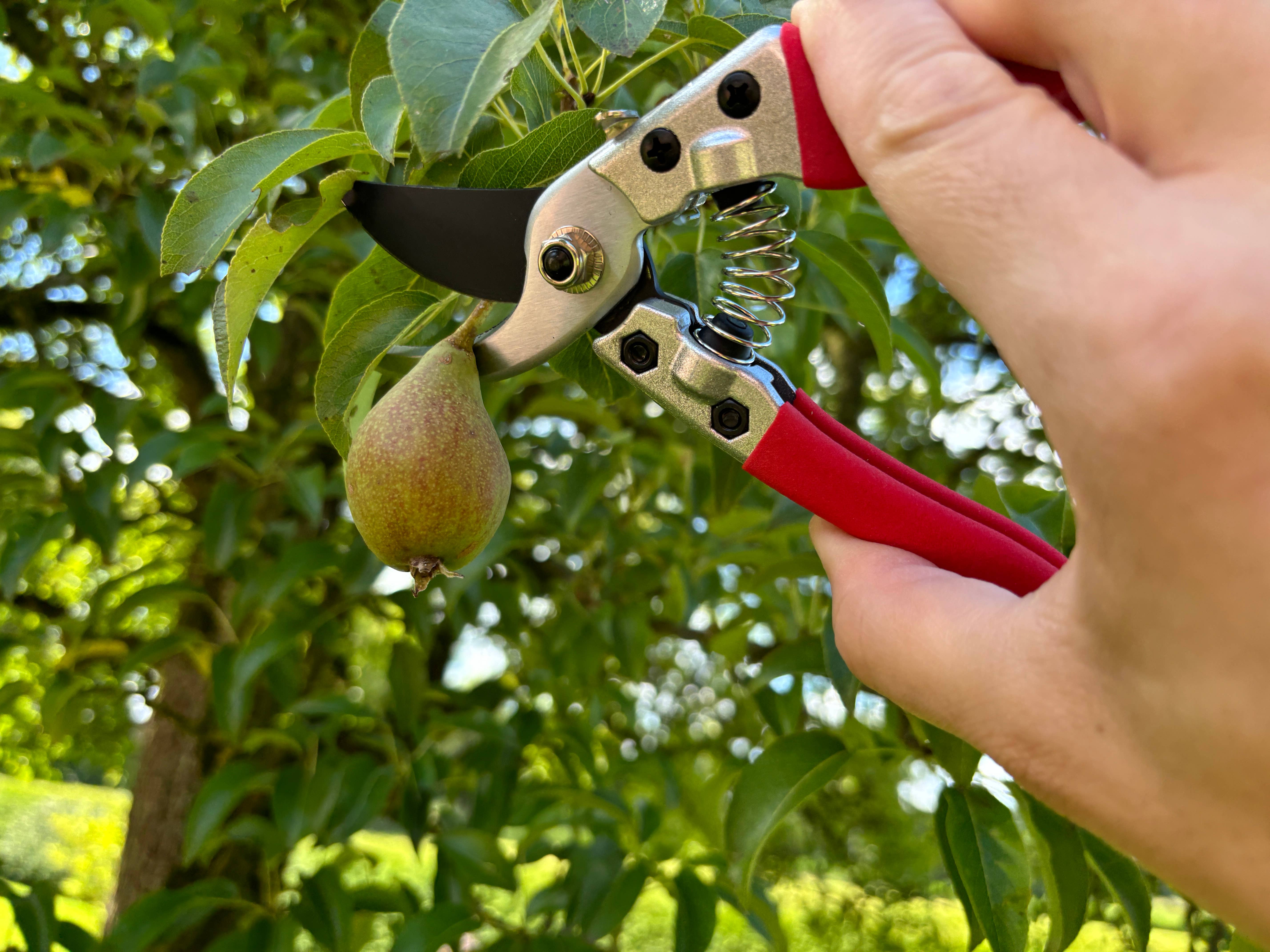 Gärtnertraum – wholesale Trädgårdsverktyg – Grensax - Sekatör11