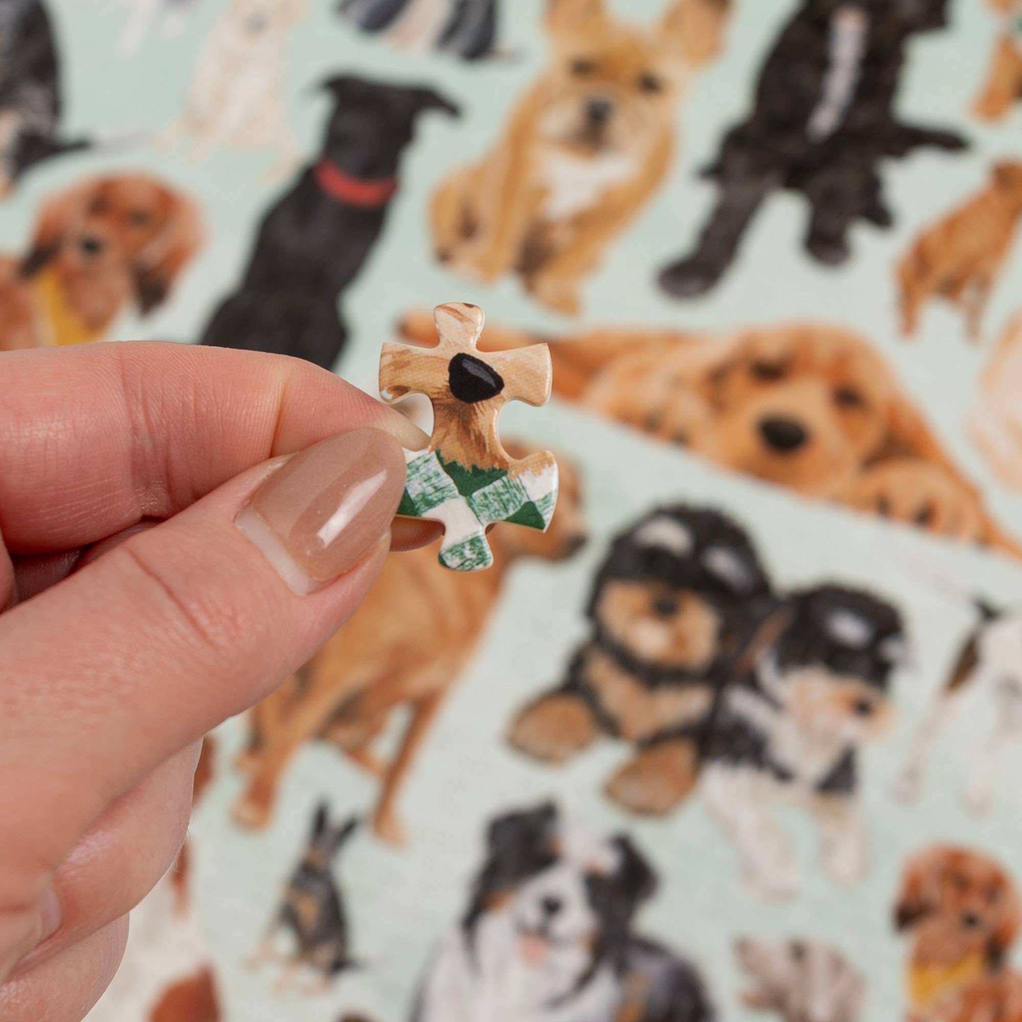 1canoe2 | One Canoe Two Paper Co. - Wholesale Puzzle - Adult - Furry Friends - 1,000 Piece Dogs Jigsaw Puzzle2