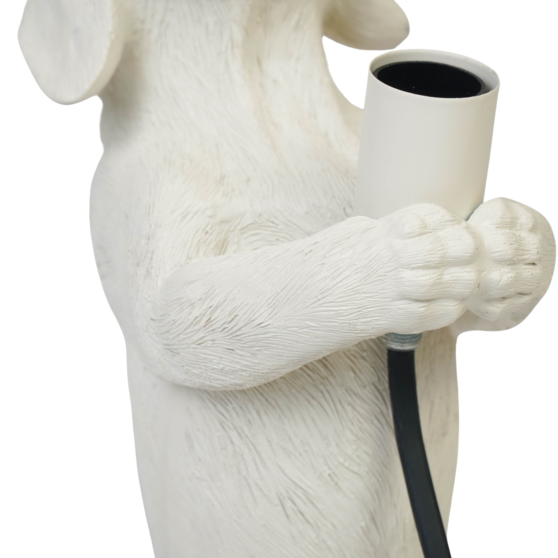 Housevitamin bv - Wholesale Figurine Lamp - Table Lamp - Dachshund Lamp - Polyresin - Cream White - E14 - 10x15x38cm1