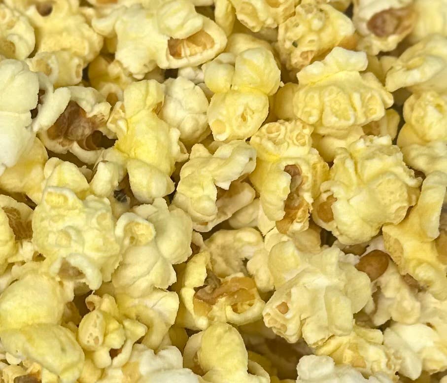 Buckeye Gourmet Popcorn - Wholesale Popcorn - Medium Sized 7 Cup volume Gourmet Popcorn9