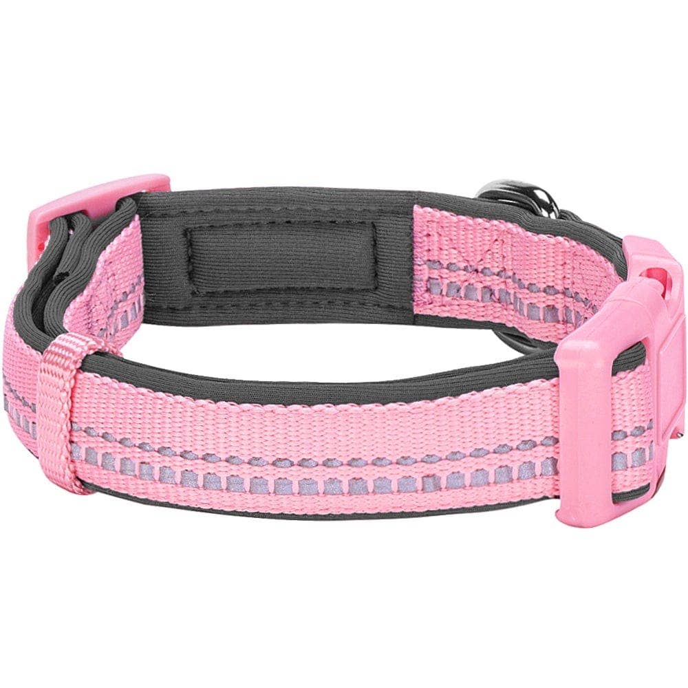 Blueberry Pet - Vente Collier – chien - Collier de sécurité rembourré en néoprène souple réfléchissant 3M54