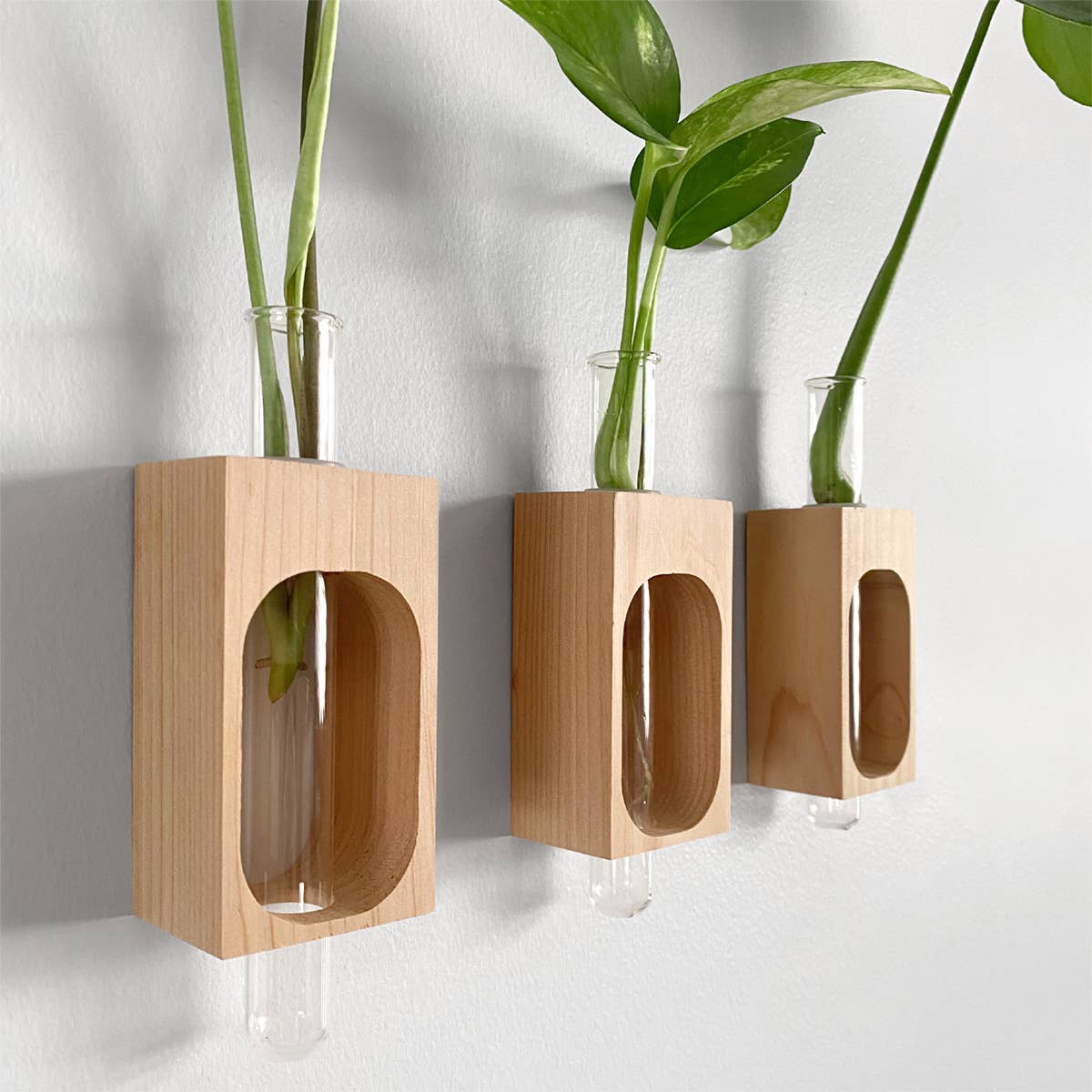 PRINT AND PROPER - Wholesale Hanging Planter - Plant Propagation Station. Wall Mount Test Tube Plant Holder1