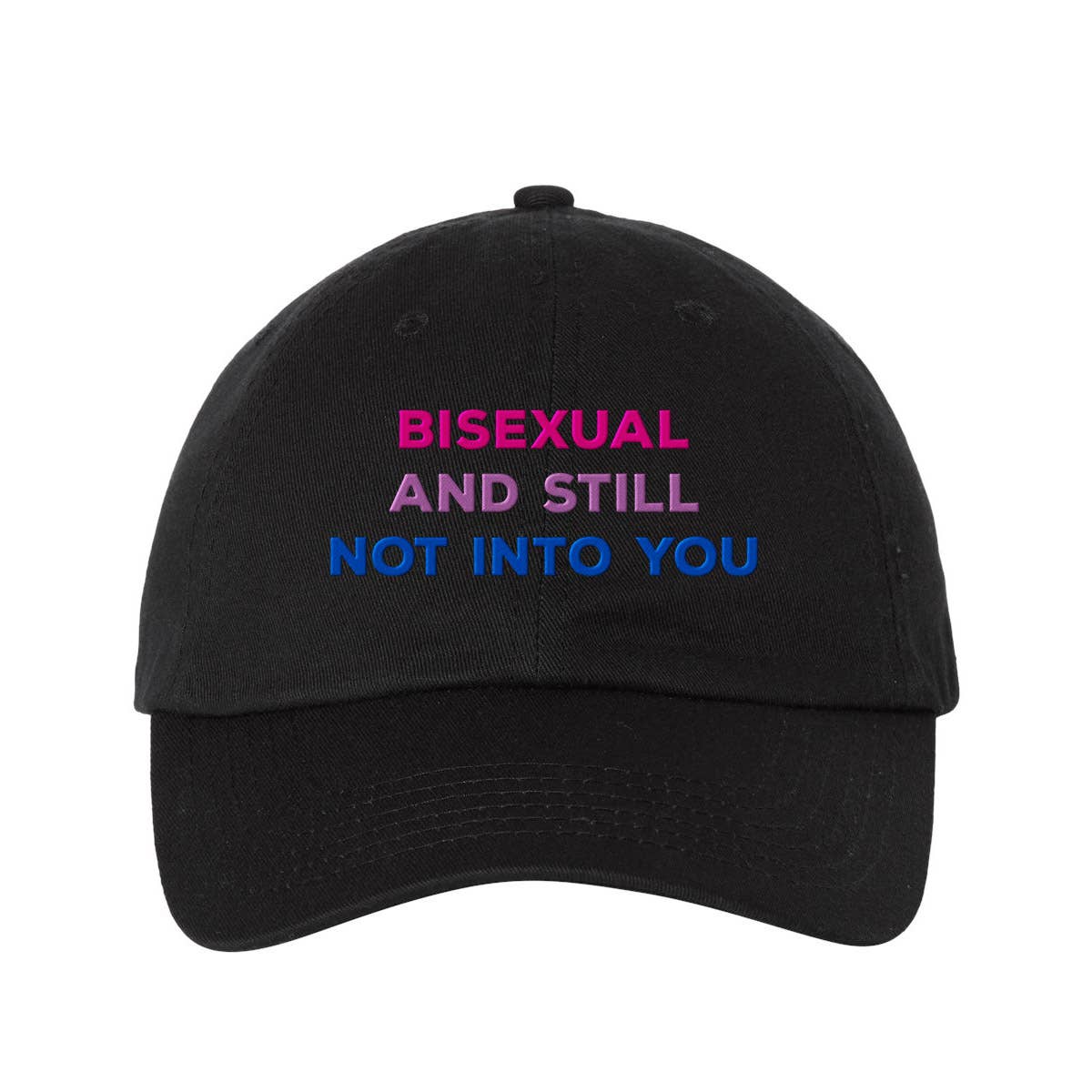 Lucky Luna Apparel - Wholesale Baseball Cap - Women's - Bisexual and Still Not Into You Embroidered Dad Hat8
