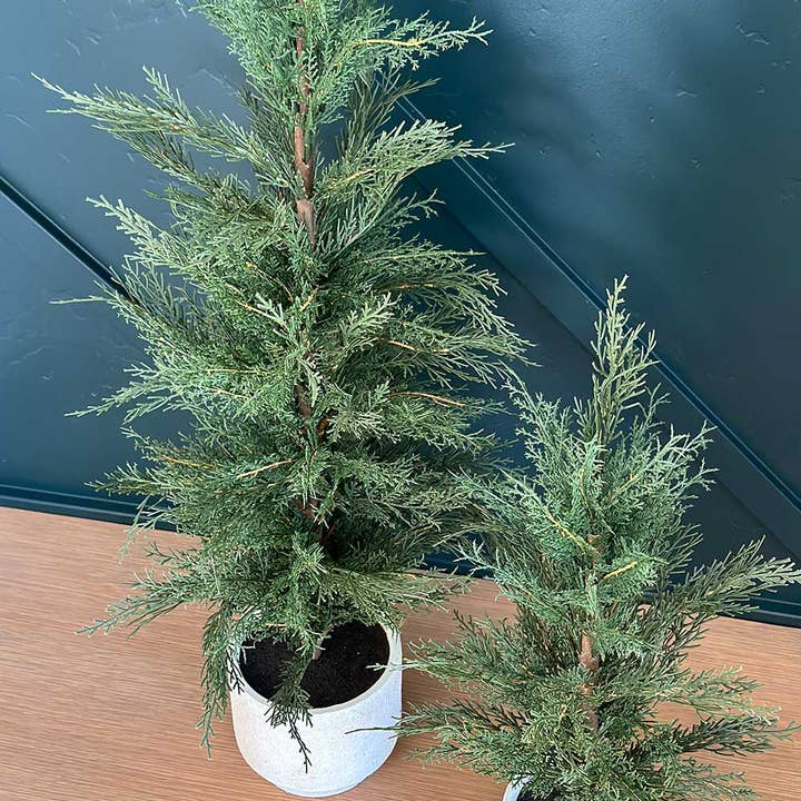 CG Hunter - Wholesale Artificial Plant - 24" / 2’ Artificial Evergreen Cedar Tree Set12