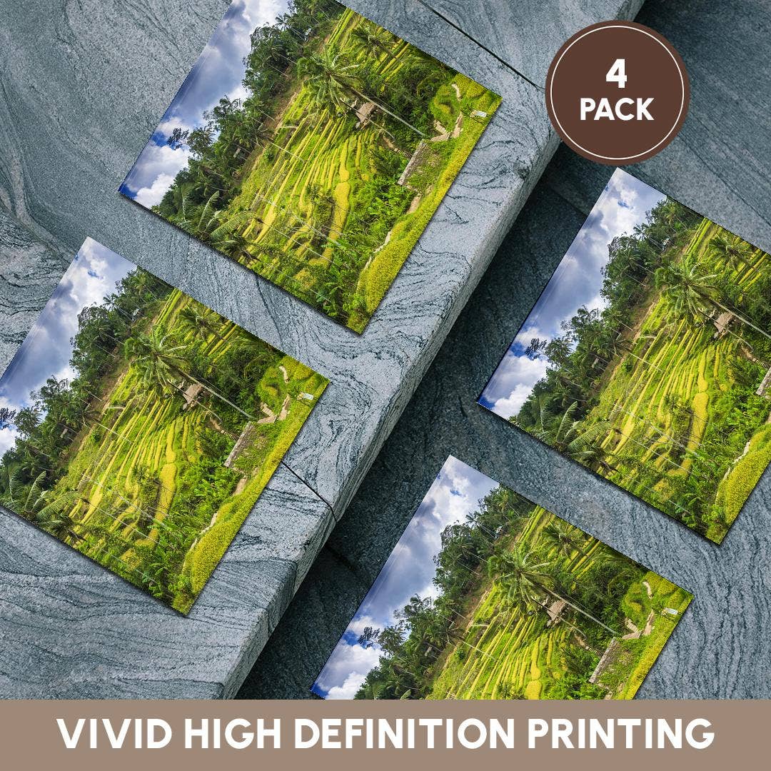 3dRose - Wholesale Coasters - 3dRose, Rice fields at Tegallalang Rice Terrace, Bali, Indonesia, Coaster5