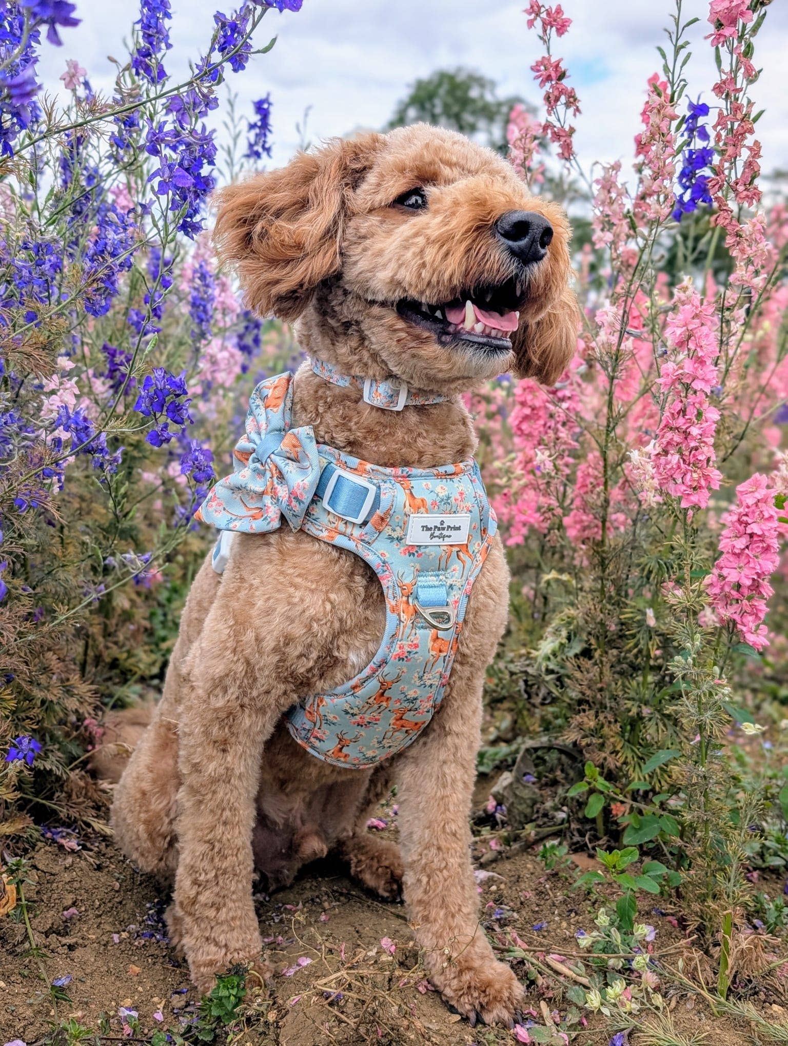 The Paw Print Boutique – wholesale Pet bow tie – Dog – Bambi in Bloom Bow Tie2