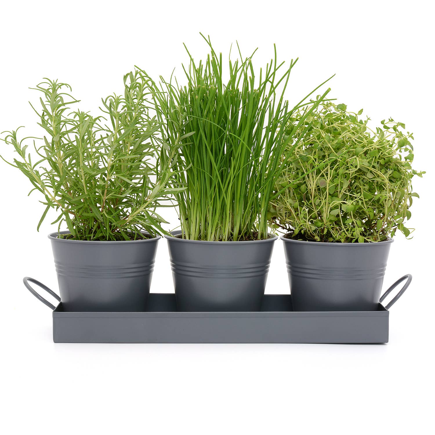 Wholesale Gifts Tomorrow – wholesale Plant pot – Set of 3 Metal Herb/Plant Pots with Drip Tray (Charcoal Grey)4