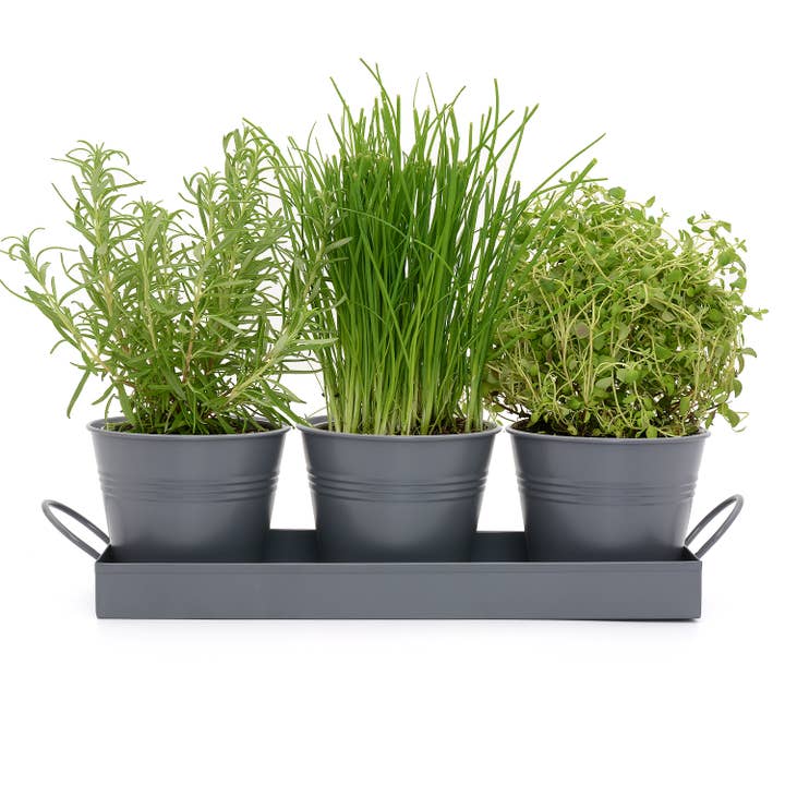 Wholesale Gifts Tomorrow – wholesale Plant pot – Set of 3 Metal Herb/Plant Pots with Drip Tray (Charcoal Grey)4