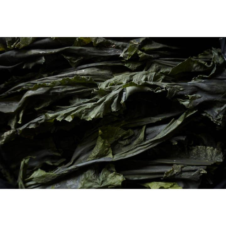 Nautical Farms – Großhandel Getrocknetes/dehydriertes Gemüse – Bio-Vollblattzucker-Setang