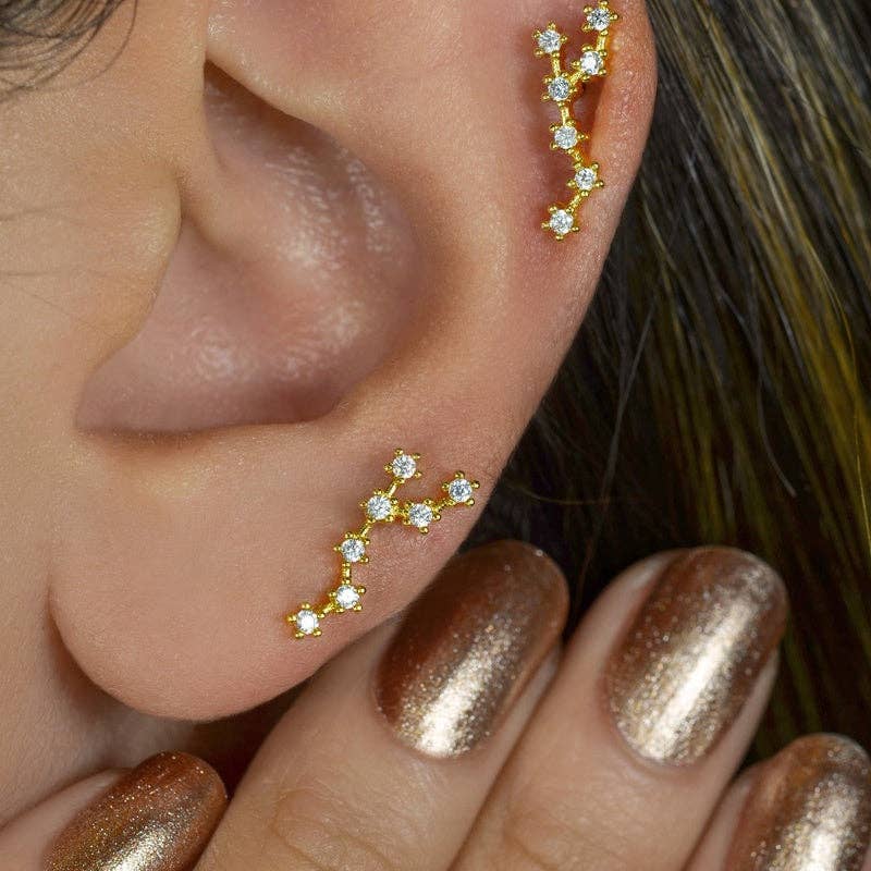 StockJWL - Wholesale Stud/Post Earrings - 12 Zodiac Earrings, Constellation Stud Earring Stud Piercing Tragus Helix Lobe and Cartilage Silver And Gold33