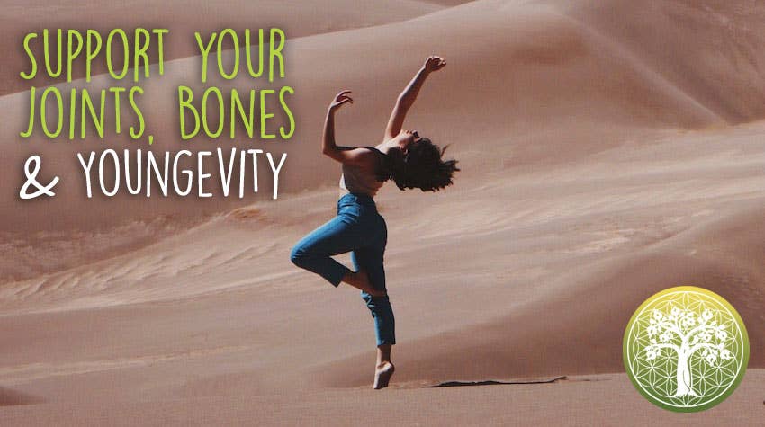 Ancient Purity – wholesale Protein-/superfoodpulver – Bambutabashir-extraktpulver | Bambuharts | Kiseldioxid5