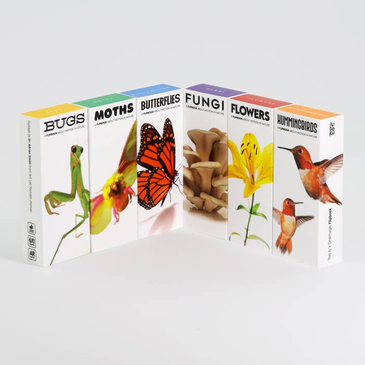 Flipboku - Wholesale Book - Kids - Motion in Nature Flipbook Collection
