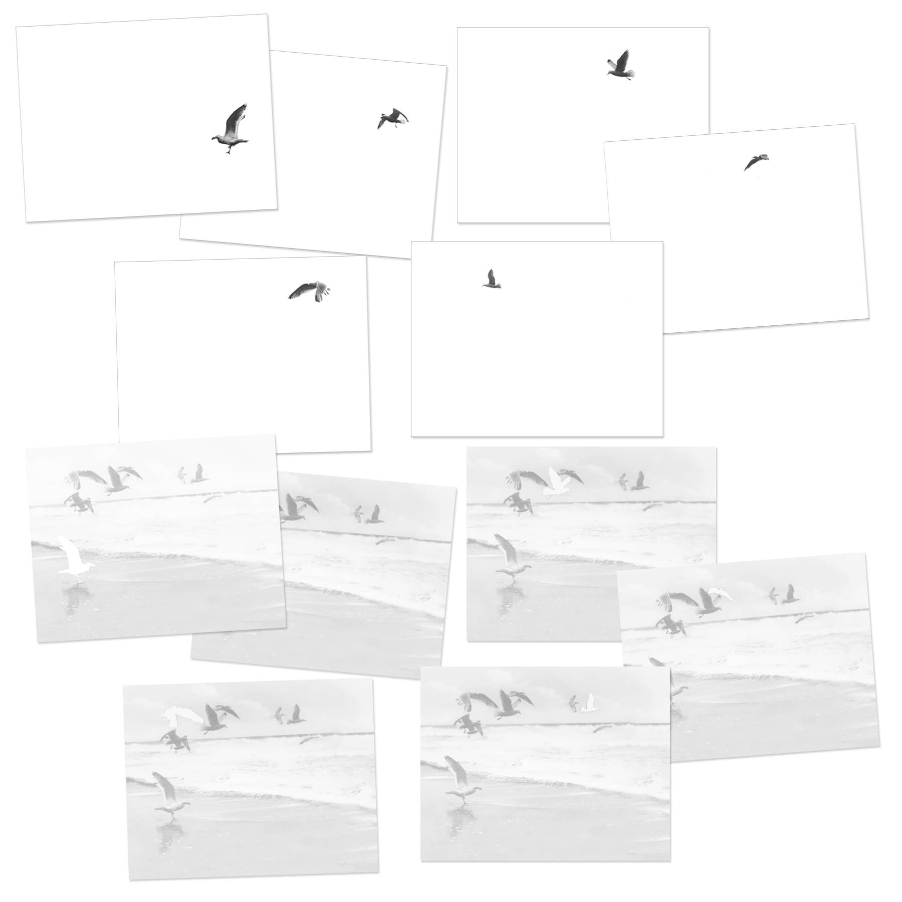 Embued Photophiles - Wholesale Stationery/Notecard Set - Bird Double Sided Flat Notecard Set0
