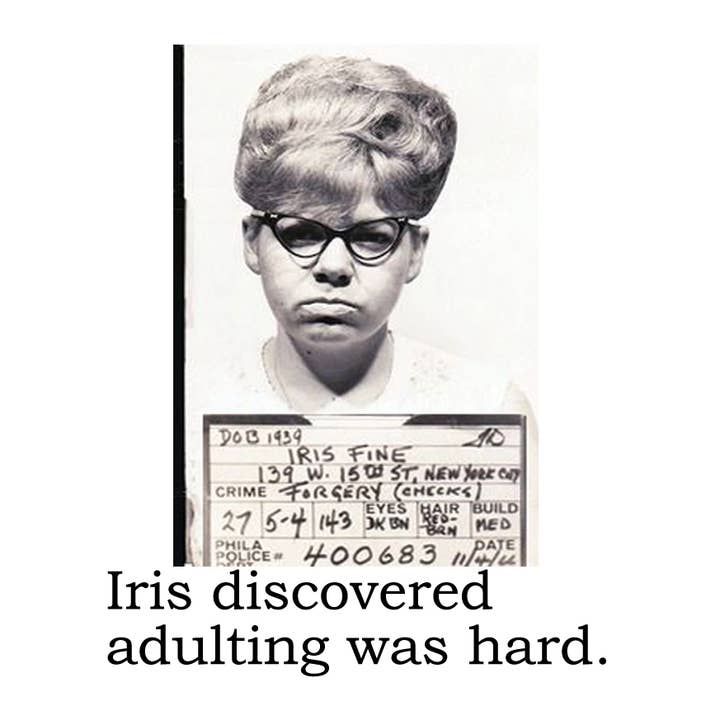 The 3 Sisters Design Co. – Ambientador por atacado – Purificador de ar Big House, ambientador de carro, íris descoberto...