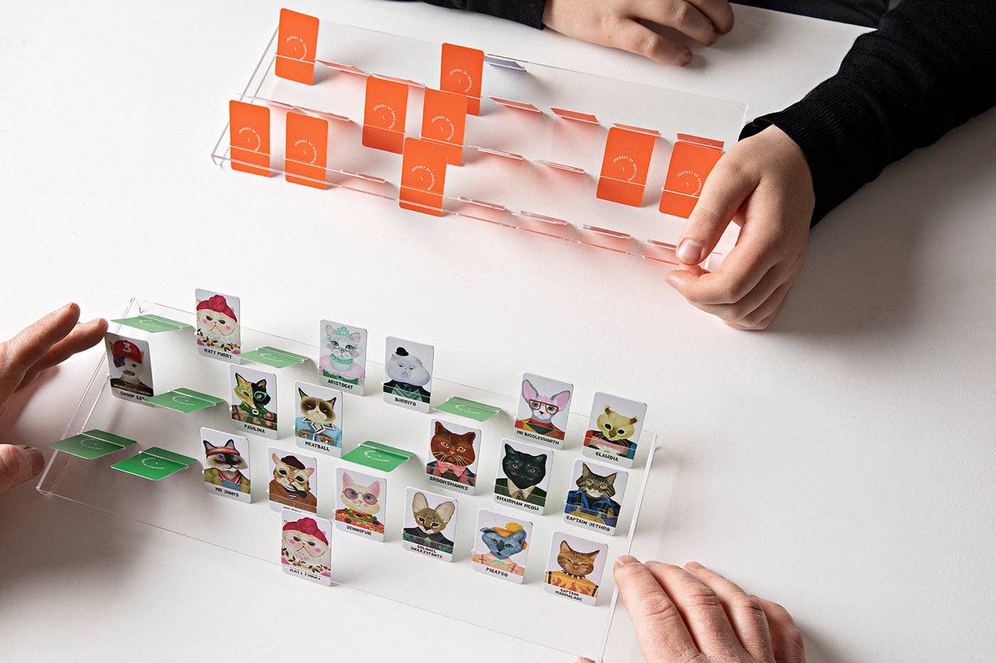 Journey Of Something AU & EU - Wholesale Board Game - Guess The Feline Card Game4