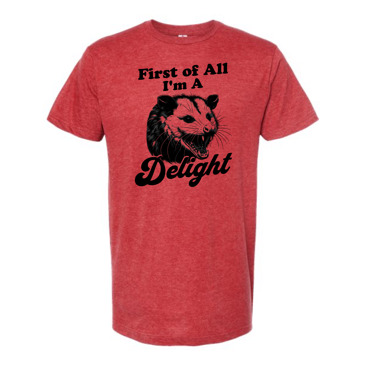 dkhandmade - Wholesale Screen Printed T-Shirt - Unisex - FIRST OF ALL I'M A DELIGHT T-SHIRT4