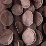 PEACH ACCESSORIES - Wholesale Skirt - Women's - SK118 Large circle embellished skirts16