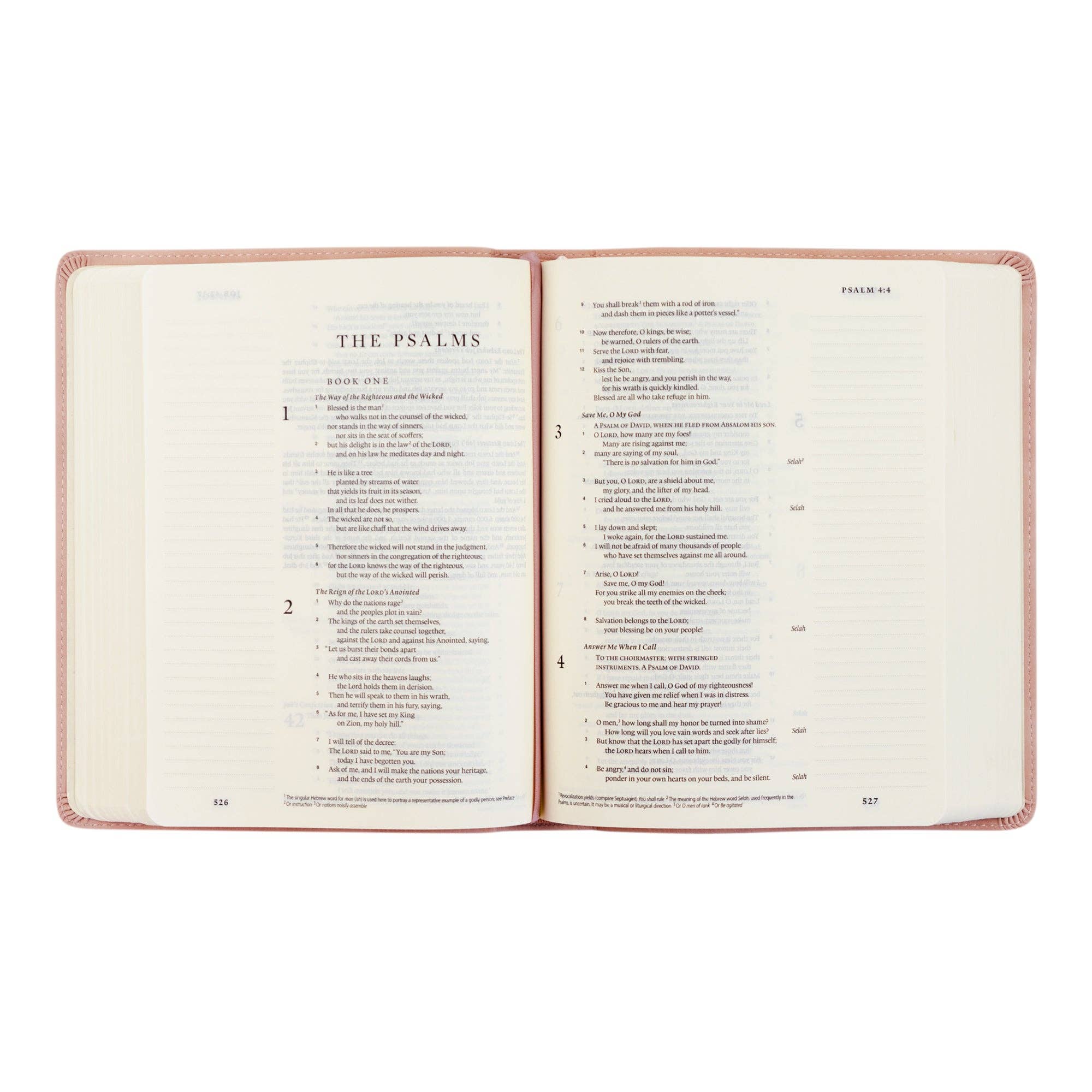 Hosanna Revival – Großhandel Religionsbuch – ESV Journaling Bibel: Shiloh Thema4