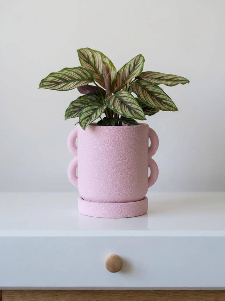 Indendørs planter med dræning for engroshandel hos Meora Home