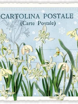 Lily of the Valley vykort på stadigt konstpapper med glitter och räfflad kant, PK620 för wholesale av Actetre Deutschland Gmbh