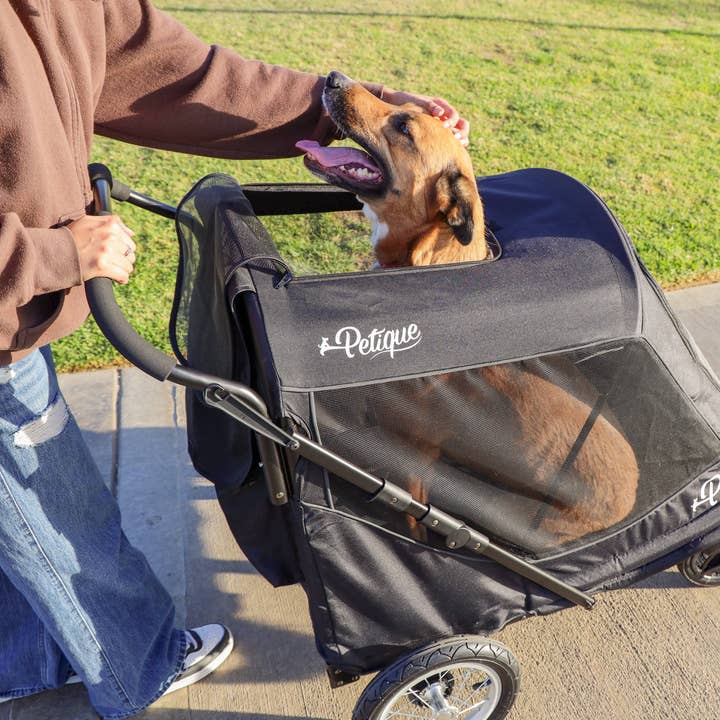 Only An Ocean Europe - Wholesale Pet Carrier - Cat/Dog - Petique Apollo Elite Pet Stroller15