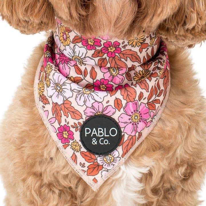 Pablo & Co. Boutique - Wholesale Pet Bandana - Dog - Pink Posie's - Dog Bandana0