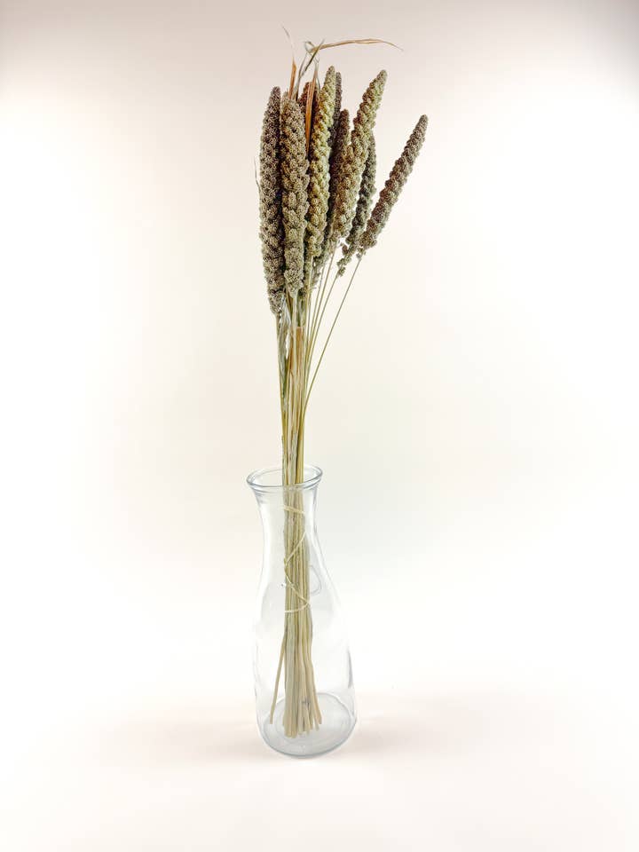Hilander Grass – Natural Dried Brown & Green Stems for wholesale by Lovejoy Farms Premium Dried Flowers