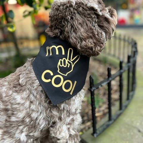 Baxter's Boutique - Vendita all'ingrosso Bandana - Cani - Bandana | I'm 2 Cool//Tattoo Vibes3