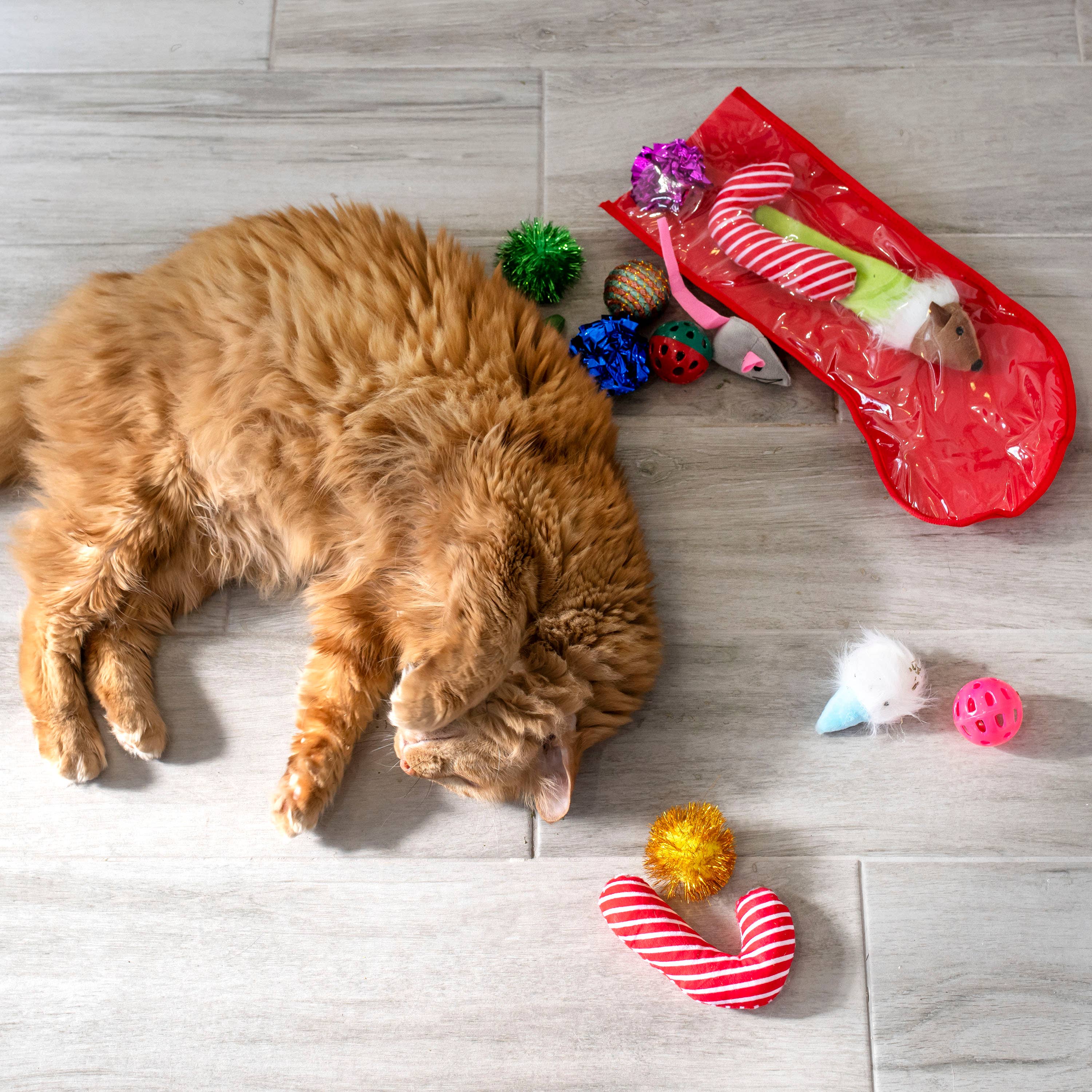 Midlee Designs – Engroshandel Legetøjssæt - Kat – Midlee Christmas Strømpe Cat Toy Gavesæt (14 Legetøj)10