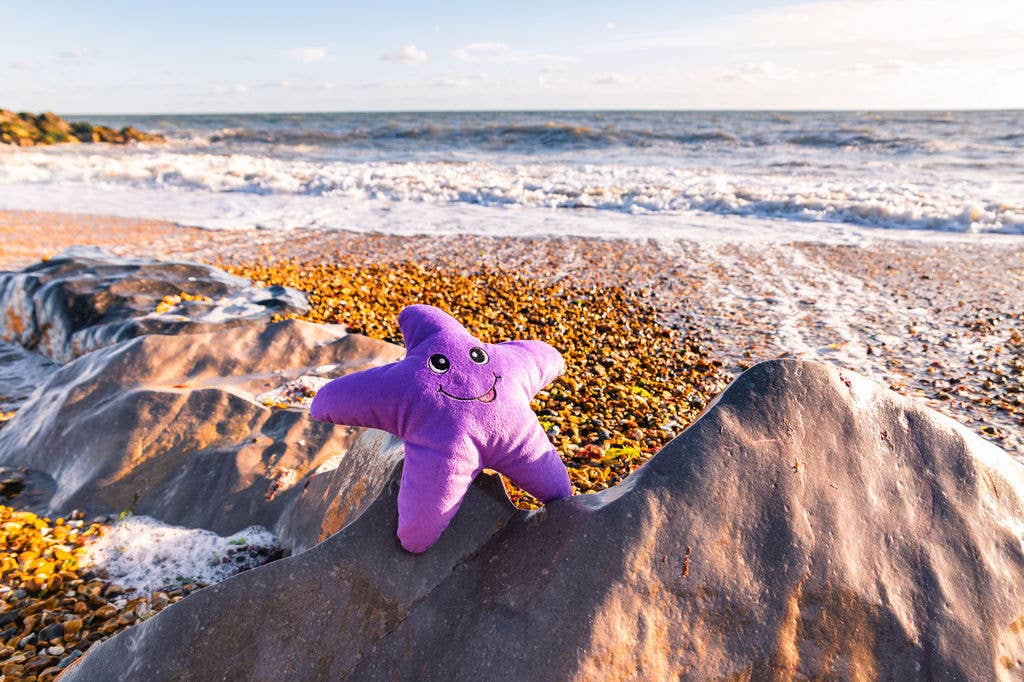 Sustainapaws – wholesale Pet plush toy – Dog – Starfish Double Layered Recycled Plastic Plush Dog Toy7