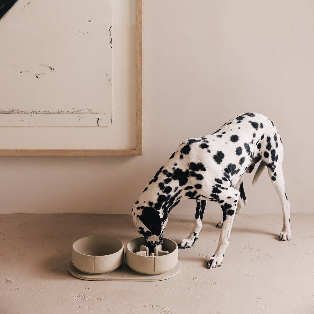 PINO – Engroshandel Kæledyrsskål – Hund – Klassisk skål48