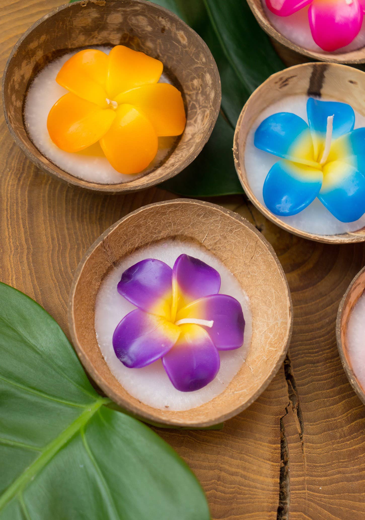 Namaste – Engroshandel Gavelys – Stor blomsterlys i kokosnøddeskal2