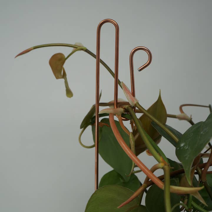 The Brass Butterfly - Wholesale Garden/Lawn Stake - Unique Plant Support Stakes (set of 4)5