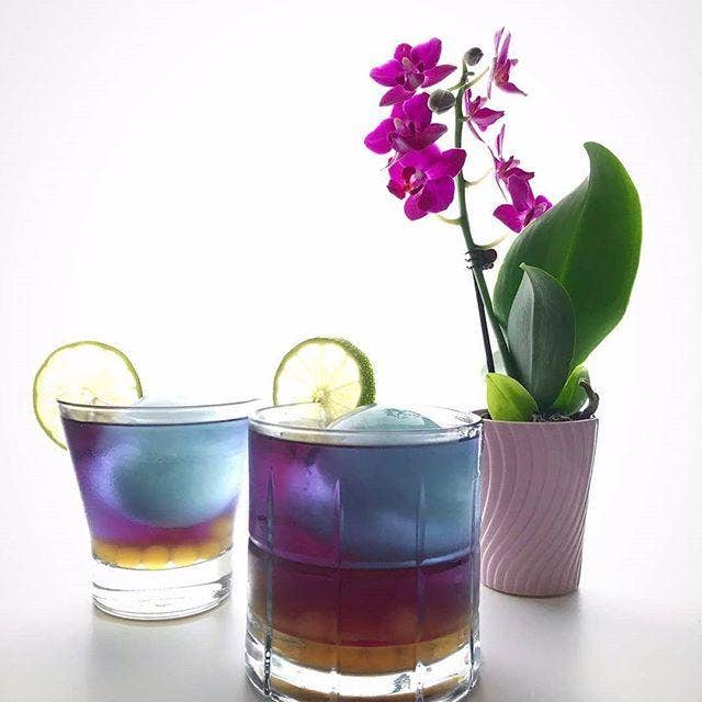 The Grateful Tea Co - Vente Thés santé/détox - Thé glacé aux herbes Blue Mango Butterfly Pea, 6 ou 12 sachets0