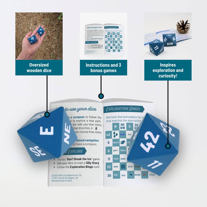 Wild Life Outdoor Adventures - Wholesale Dice - Outdoor Exploration Dice Game1