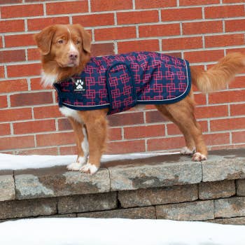 Shedrow K9 Chinook Dog Coat Red And Grey Faire Com Shedrow K9 Chinook Dog Coat Red And, Shedrow K9 Glacier Dog Coat Canada